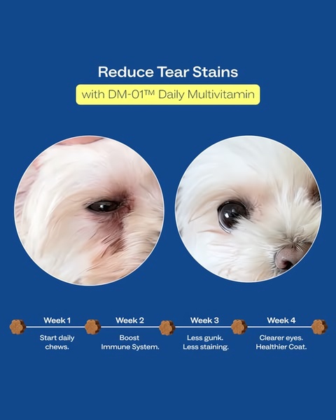This ad creative utilizes a clear, side-by-side before-and-after comparison of a dog's eye area to demonstrate the efficacy of a daily multivitamin.
